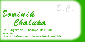 dominik chalupa business card